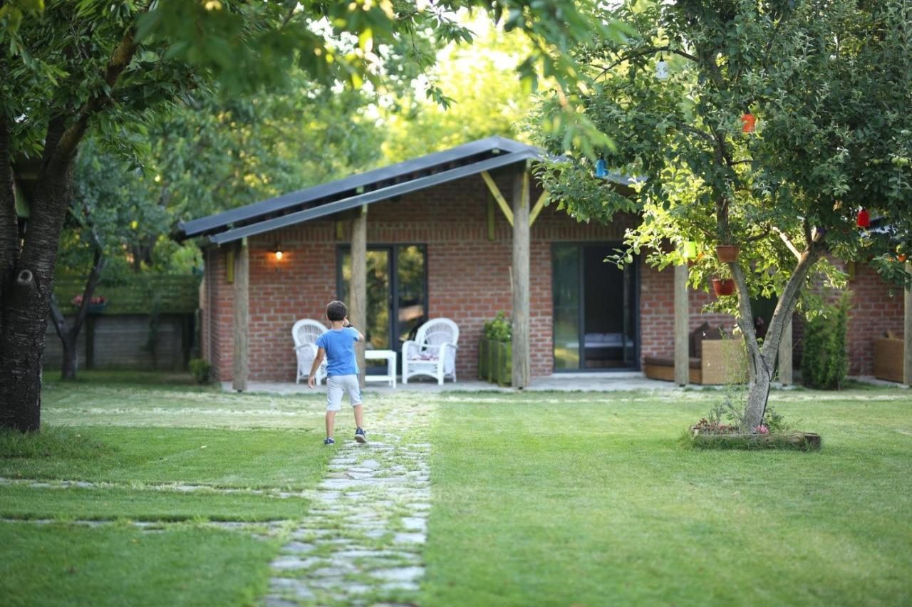 Sapancaminihouse Bed & Breakfast Exterior photo