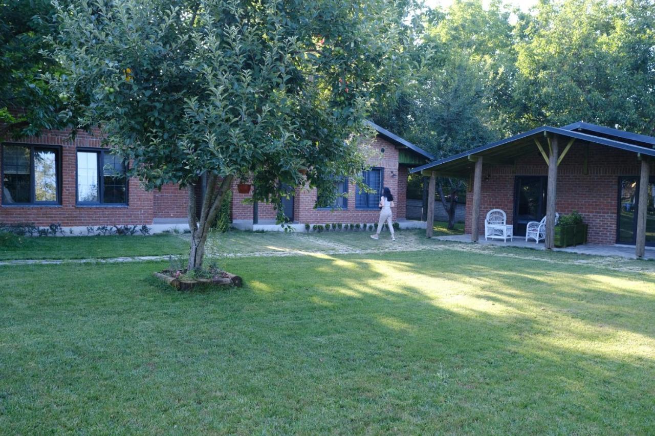 Sapancaminihouse Bed & Breakfast Exterior photo
